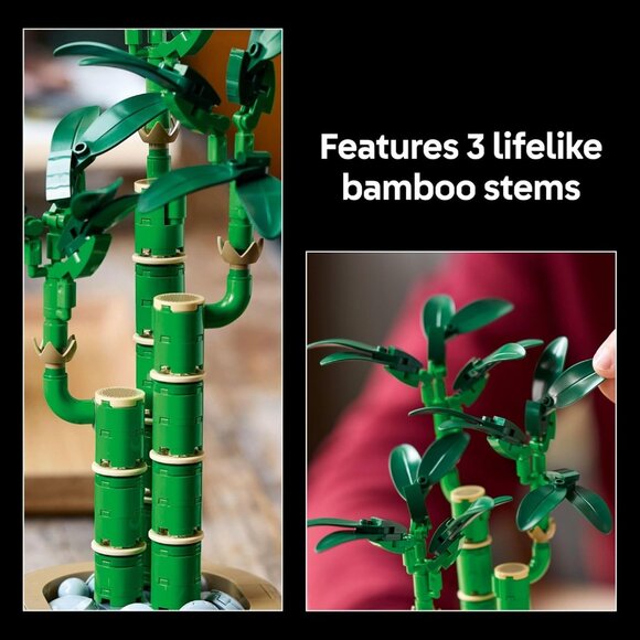 LEGO Botanicals Lucky Bamboo Building Set - NIB - Picture 3 of 4